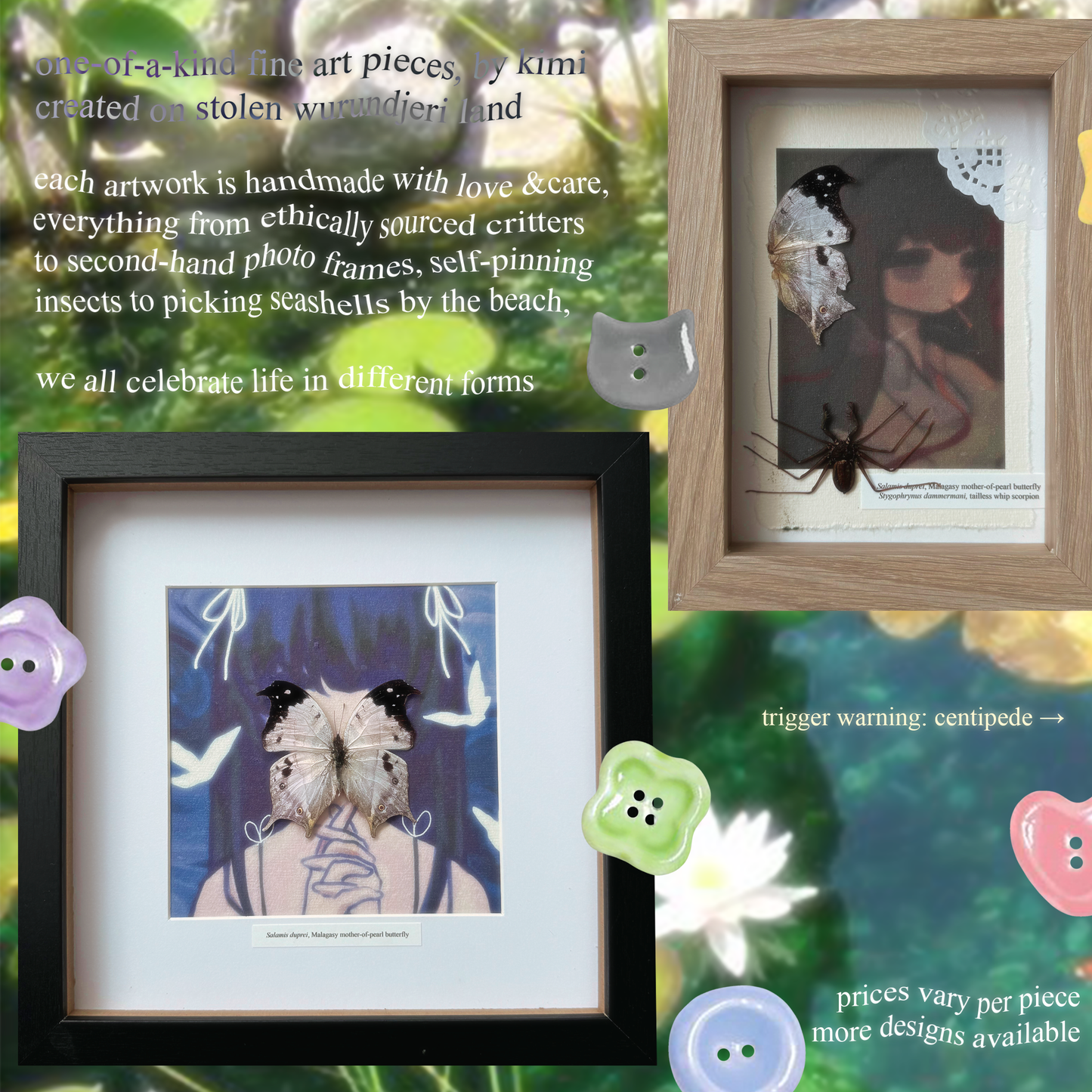 taxidermy art frames