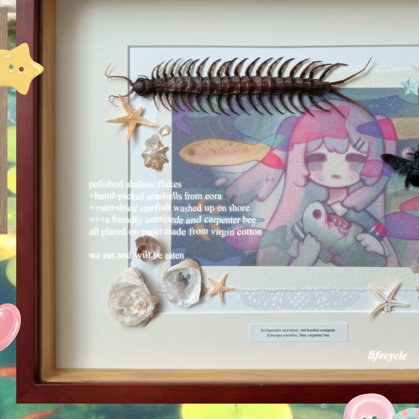 taxidermy art frames
