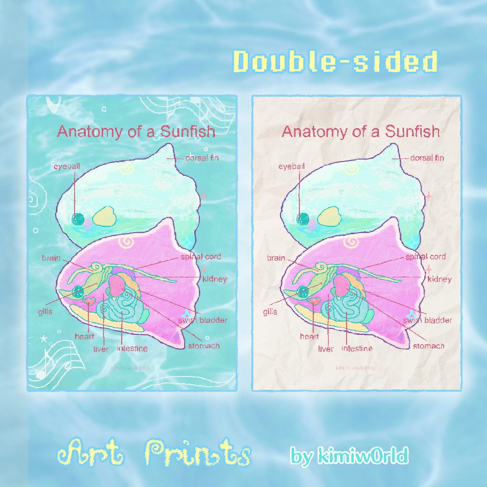 anatomy of a sunfish print