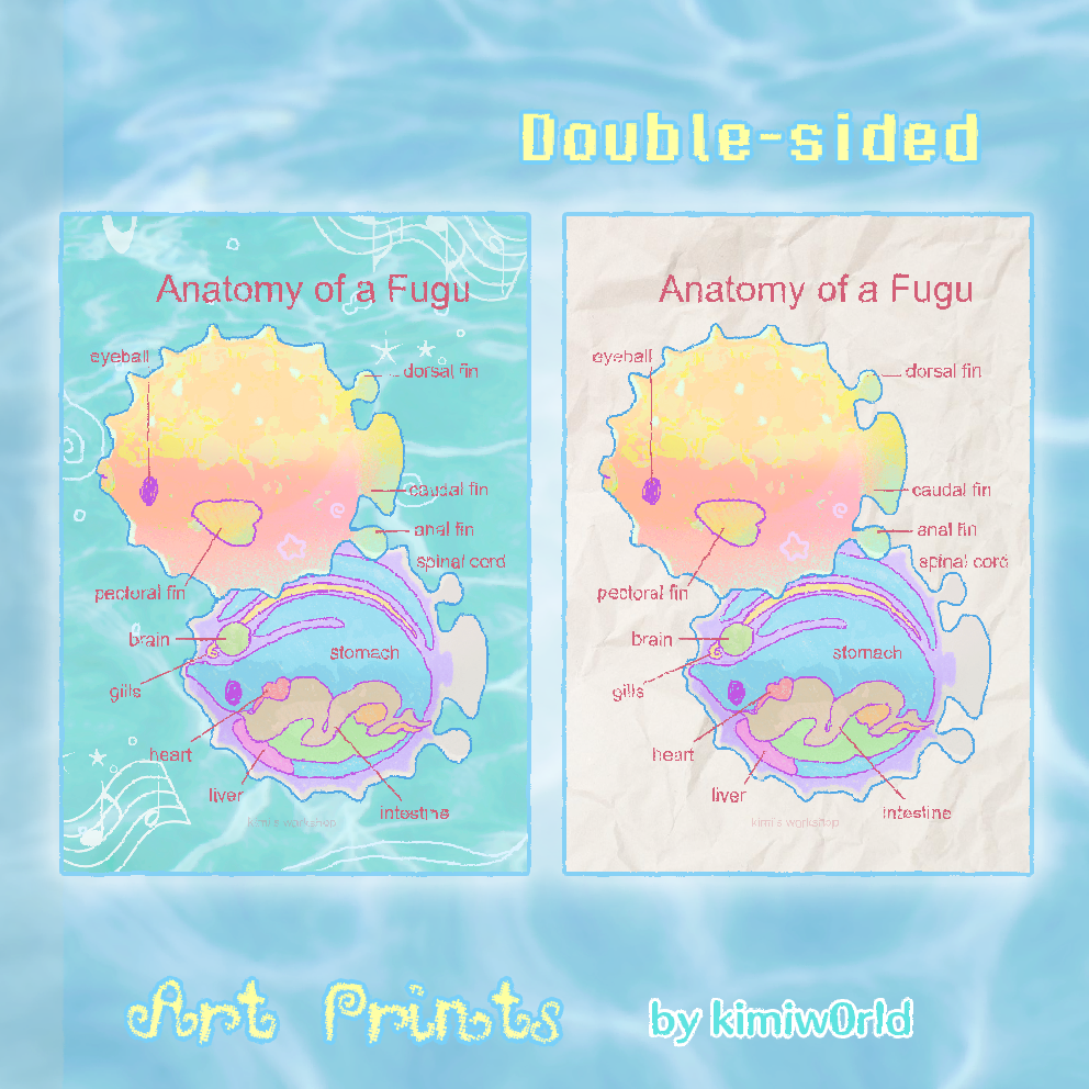 anatomy of a fugu print