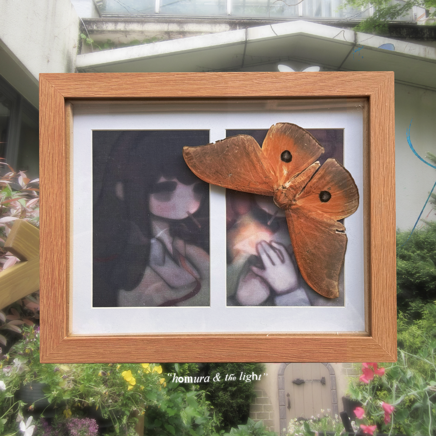 homura & the light frame