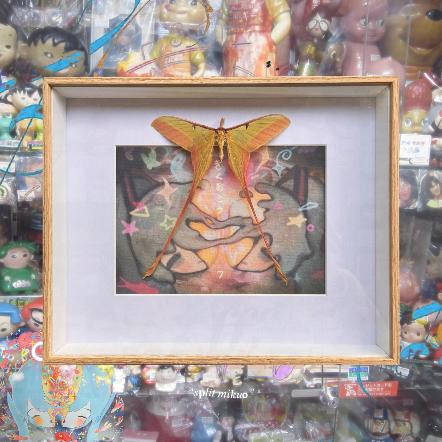 split mikuo frame