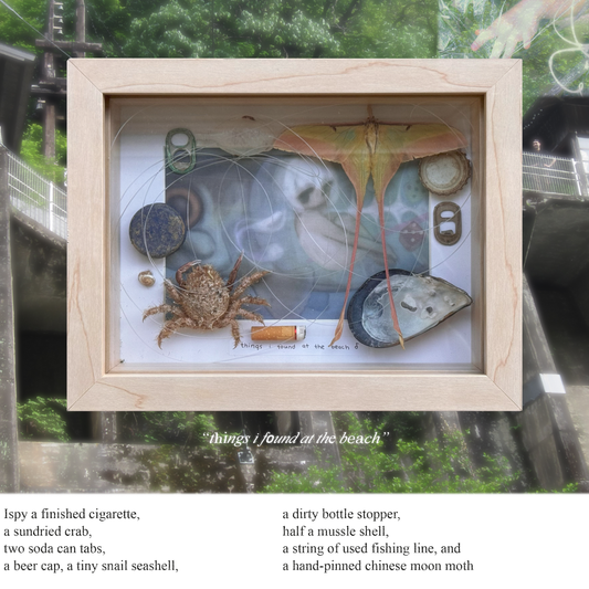 things i found at the beach frame
