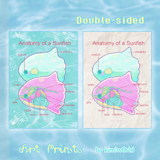 anatomy of a sunfish print